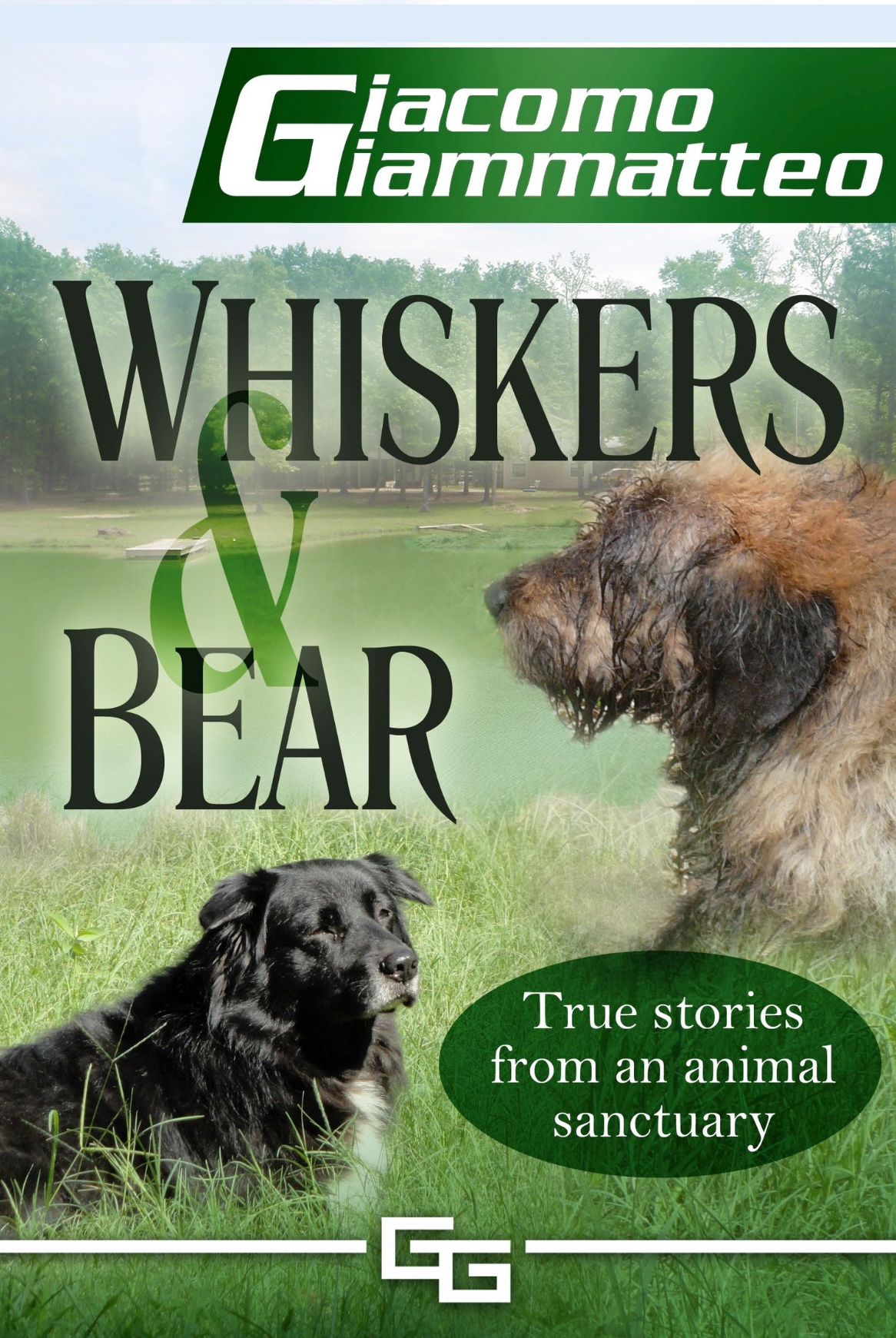 Whiskers and Bear